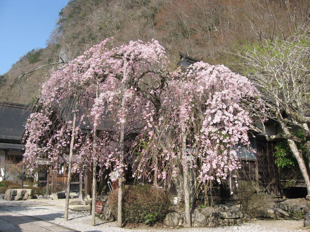 Masugen Ryokan Тенкава Екстер'єр фото
